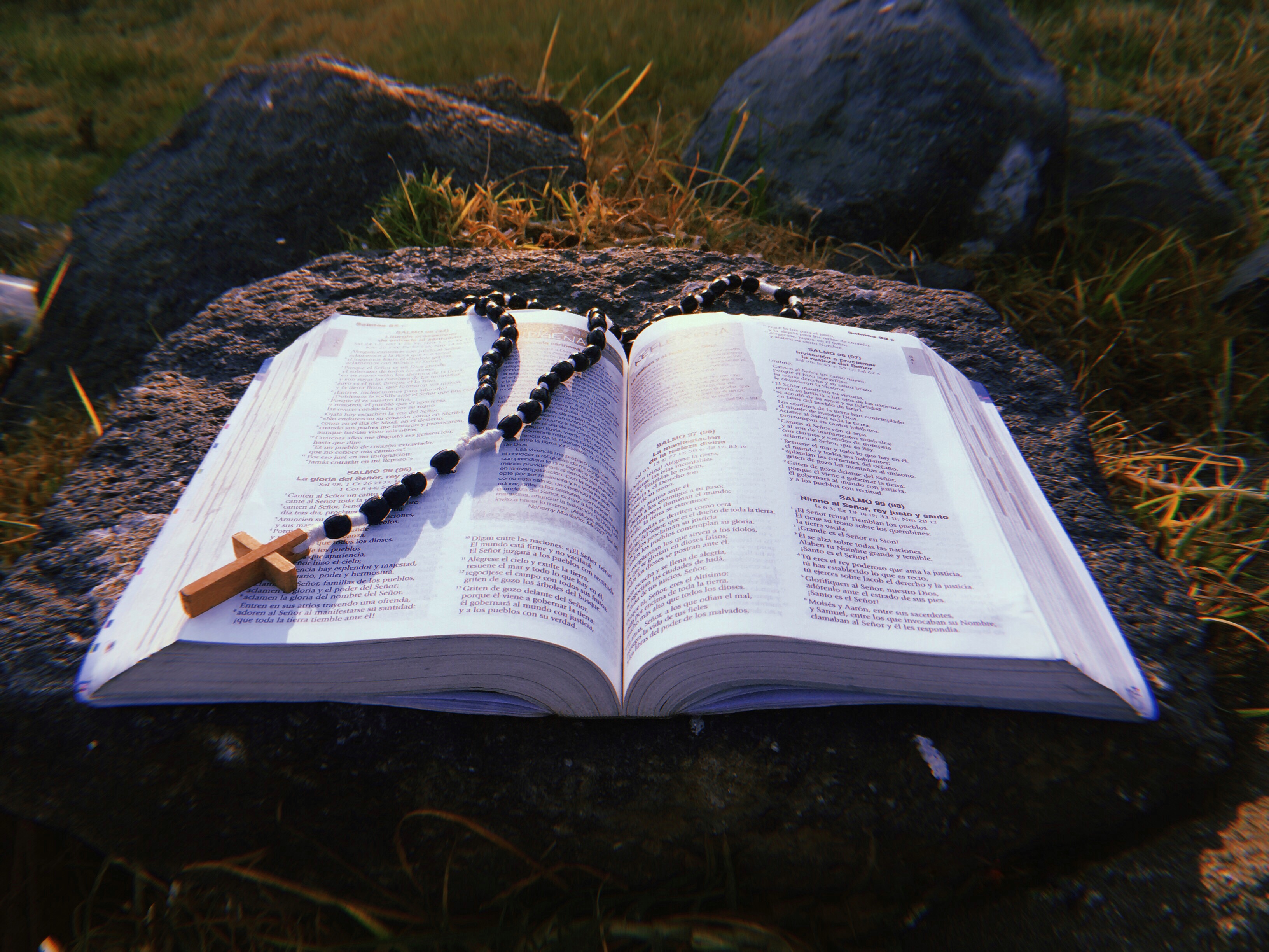 Descubra 7 curiosidades sobre a Bíblia Sagrada